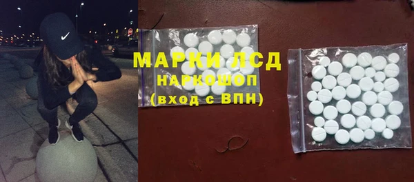 СК Алексин